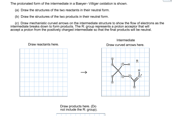 The protonated form of the intermediate in a Baeye