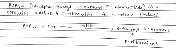 BAPNA (ar alpha-benzoyl-L-arginine-p- nikoanilide) is a colourless substrate & p-nitro aniline is a yellow product. BAPNA + H