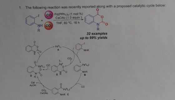 1. The following reaction was recently reported along with a proposed catalytic cycle below: co Pd(PPha (1 mol %) CsOAC (1.0