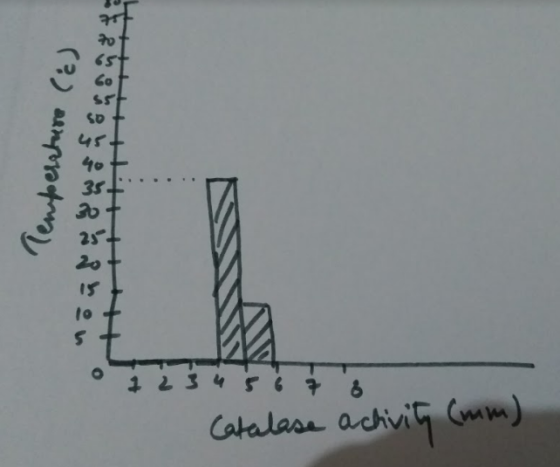 Temperature (6) o 1 3 4 5 6 7 Catalase activity (mm)