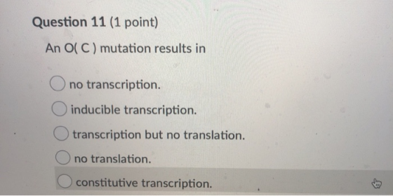 Question 11 (1 point) An O( C) mutation results in O no transcription. inducible transcription. Otranscription but no transla