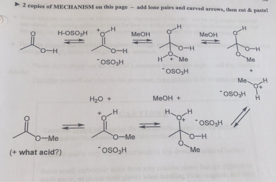 2 copies of MECHANISM on this page add lone pairs and curved arr then cut & paste! MeOH MeOH O-H O-H Me OSO3H OSO3H Me OSo3H