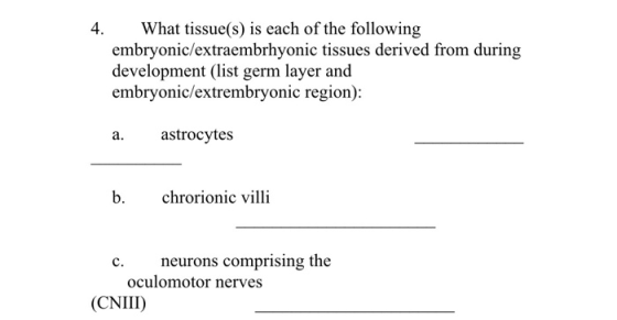 4. What tissue(s) is each of the following embryonic/extraembrhyonic tissues derived from during development (list germ layer