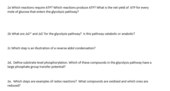 2a Which reactions require ATP? Which reactions produce ATP? What is the net yield of ATP for every mole of glucose that ente