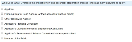 Who Does What: Oversees the project review and document preparation process (check as many answers as apply) Applicant Planni
