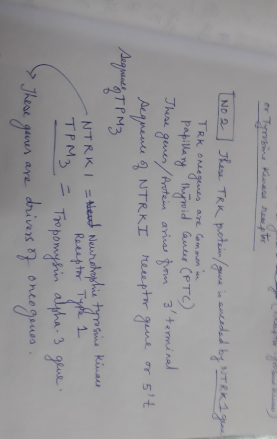 or Tyrosine Kenese receptor [No 2 These TRK protein / geve is enseded by NT Rk 1 ges! TRK oneogenes are common in papillary t