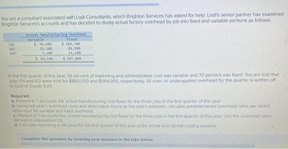 You are a consultant associated with Lodi Consultants, which Brighton Services has asked for help. Lodis senior partner has