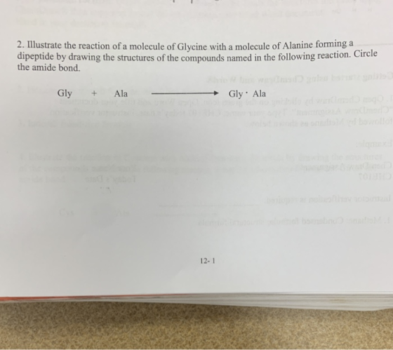 2. Illustrate the reaction of a molecule of Glycine with a molecule of Alanine forming a dipeptide by drawing the structures