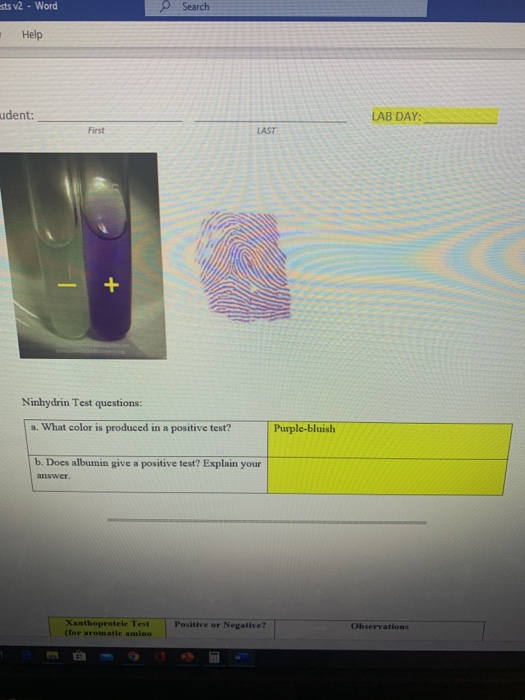 ts V2 - Word e Search Help udent: LAB DAY: Ninhydrin Test questions: a. What color is produced in a positive test? Purple-blu