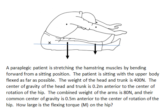 A paraplegic patient is stretching the hamstring m