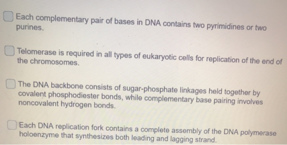 Each complementary pair of bases in DNA contains two pyrimidines or two purines. Telomerase is required in all types of eukar