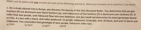 Make sure to select only one answer for each of the following questions. Mark your answers on a scantron ( hat purple 1. On a study abroad trip to Kenya, you discover the beauty of the Lilac Breasted Roller. You determine t feathers (P) are dominant over black feathers (p), and iridescence of the feathers (F) is dominant over dullness roller that was purple, and iridescent flew into your bedroom, on this. A cross with a black, dull roller produced: 11 purple, iridescent; 12 purple, dull; 10 black, dull and iridescent. You concluded that genotype of your purple, iridescent roller was: a) PPFF but you could not determine its exact genotype based b) PpFf c) ppFF d)PPff