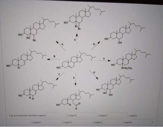 осн,сн, HO women HO HO OH wolf Can you help him identify reagent reagent reagent reagent reagent reagent repent reagent