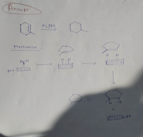 Answer Iswer Mechanism HH HIH HoH pt ZILID /////pt