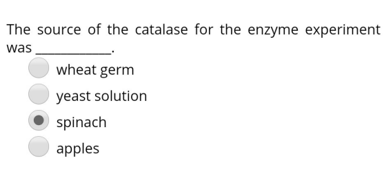 The source of the catalase for the enzyme experiment was wheat germ yeast solution spinach apples