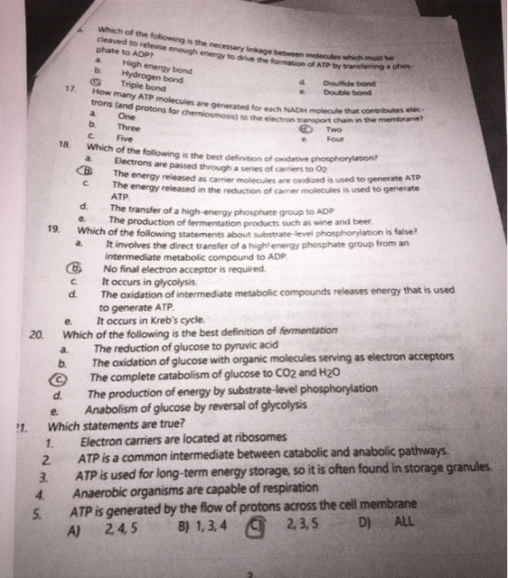 Which of the following is the cleaved to release s the necessary linkage between mclecules which must be enough energy to divenformation ofATP by transfering a pro phate to ADP? linkage a High energy bond b. Hydrogen bond STriple bond 17. How many ATP molecules are generated for each NADH molecuile tio n the memibrane trons (and protons for chemiosmosis) to the electron transpor a. One b. Three C Five d. Disulfide bond e Double bond chain in the membrane? E Two e Four 18. Which of the following is the best definition of oxidstive a. Electrons are passed through a series of carriers to 02 心The energy released as carrier molecules are oxidized is used to generate ATP energy released in the reduction of carrier molecules is used to generate C. ATP d. e.The production of fermentation products such as wine and beer The transfer of a high-energy phosphate group to ADP .Which of the following statements about substrate-level phosphorylation is false? It involves the direct transfer of a highenergy phosphate group from an intermediate metabolic compound to ADP No final electron acceptor is required a· B C.It occurs in glycolysis. d. hees best The oxidation of intermediate metabolic compounds releases energy that is used to generate ATP e. Itoccurs in Krebs cycle. 20 Which of the following is the best definition of fermentation a. The reduction of glucose to pyruvic acid b. C d. e. The oxidation of glucose with organic molecules serving as electron acceptors The complete catabolism of glucose to Co2 and H20 The production of energy by substrate-level phosphorylation Anabolism of glucose by reversal of glycolysis 1. Which statements are true? Electron carriers are located at ribosomes 1. 2. ATP is a common intermediate between catabolic and anabolic pathways. 3. ATP is used for long-term energy storage, so it is often found in storage granules 4. Anaerobic organisms are capable of respiration 5. ATP is generated by the flow of protons across the cell membrane D) ALL 2,3,5 A) 24,5 B) 1,3,4