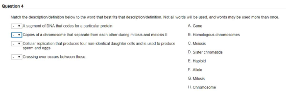 Question 4 Match the description/definition below to the word that best fits that description/definition. Not all words will