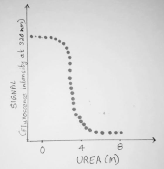 SIGNAL CFluroscence intensity at 320 mm) 4 UREA CM) 8