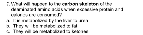 7. What will happen to the carbon skeleton of the deaminated amino acids when excessive protein and calories are consumed? a.