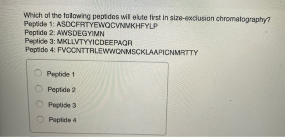 Which of the following peptides will elute first in size-exclusion chromatography? Peptide 1: ASDCFRTYEWQCVNMKHFYLP Peptide 2