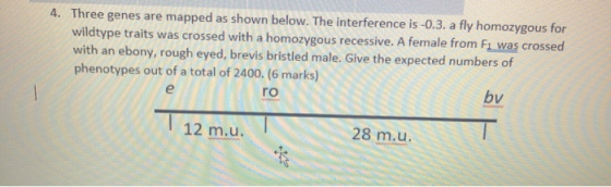 4. Three genes are mapped as shown below. The interference is -0.3. a fly homozygous for wildtype traits was crossed with a h