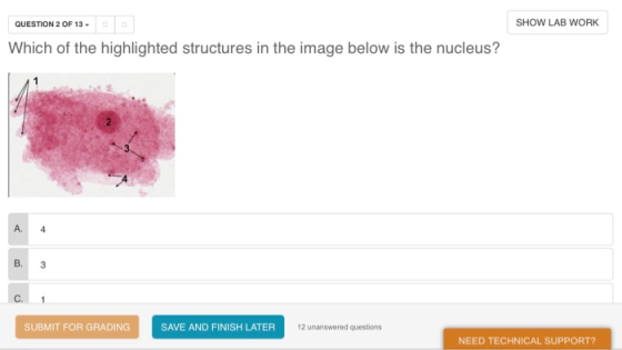 QUESTION 2 OF 13 SHOW LAB WORK Which of the highlighted structures in the image below is the nucleus? A. 4 B. 3 C. SUBMIT FOR GRADING SAVE AND FINISH LATER 12 unanswered questions NEED TECHNICAL SUPPORT?