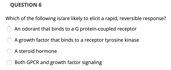 QUESTION 6 Which of the following is/are likely to elicit a rapid, reversible response? O An odorant that binds to a G protei