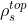 \rho _{s}^{top}
