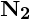 N2