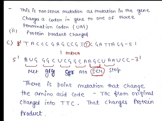 - This is nonsense mutation as mutation in the gene Changes a codon in gene to one of three termination codon (UAG) (ii) Prot