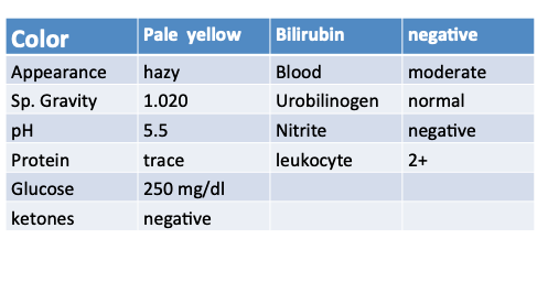 Pale yellow Bilirubin negative Color Appearance Sp. Gravity Blood Urobilinogen Nitrite leukocyte moderate normal negative haz