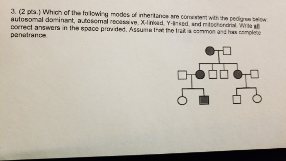 3. (2 pts.) Which of the following modes of inheritance are consistent with the pedigree below autosomal dominant, autosomal