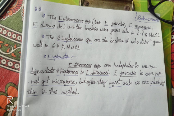 Date 17/03/20 The Enterococcus spp. (like E. Jovecalis, E. Zymogenes, E. durans ete.) are the bacteria who grewe well in 6.5%