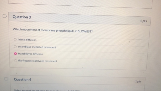 D Question 3 1 pts Which movement of membrane phospholipids in SLOWEST? O lateral diffusion O scramblase-mediated movement O