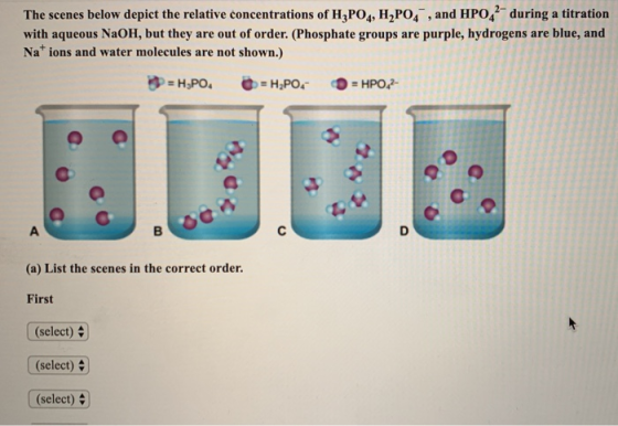 The scenes below depict the relative concentrations of H3PO4, H2PO4 , and HPO42- during a titration with aqueous NaOH, but th