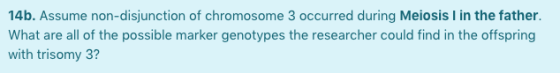 14b. Assume non-disjunction of chromosome 3 occurred during Meiosis I in the father. What are all of the possible marker geno