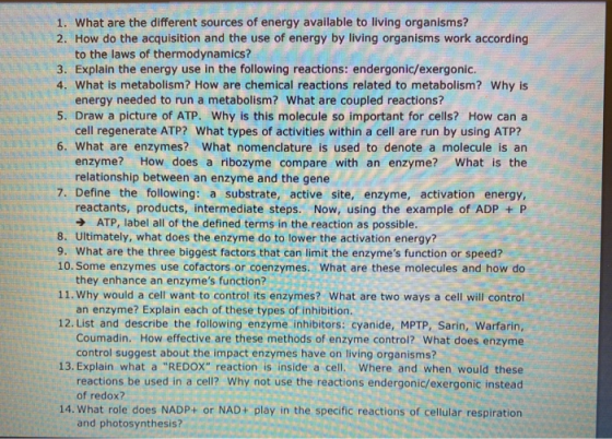 1. What are the different sources of energy available to living organisms? 2. How do the acquisition and the use of energy by