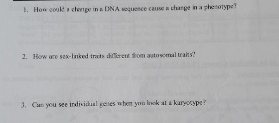 1. How could a change in a DNA sequence cause a change in a phenotype? 2. How are sex-linked traits different from autosomal