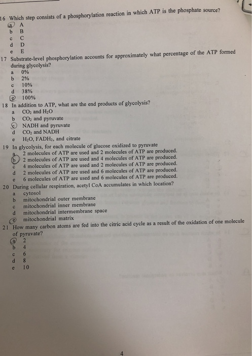 16 Which step consists of a phosphorylation reaction in which ATP is the phosphate source? b B с с d D е Е 17 Substrate-level