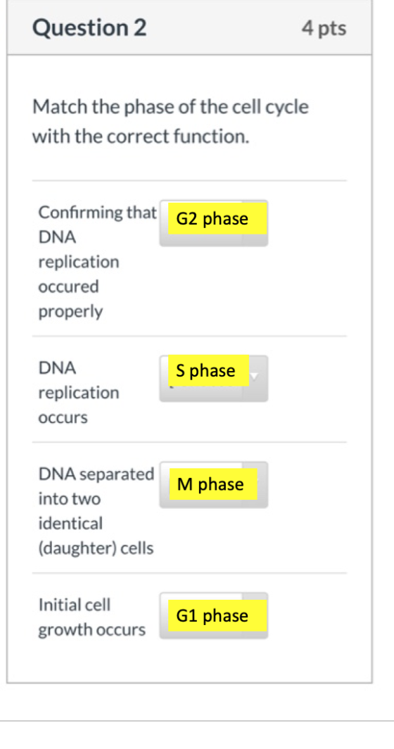 Question 2 4 pts Match the phase of the cell cycle with the correct function. G2 phase Confirming that DNA replication occure