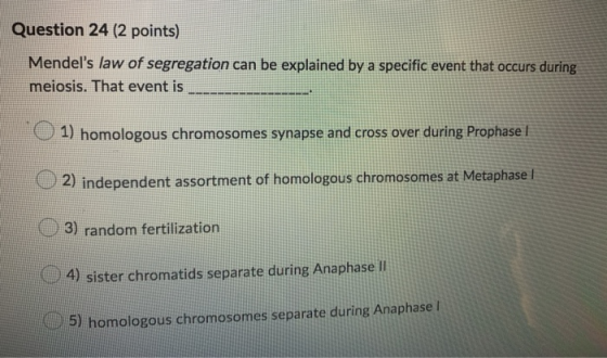 Question 24 (2 points) Mendels law of segregation can be explained by a specific event that occurs during meiosis. That even