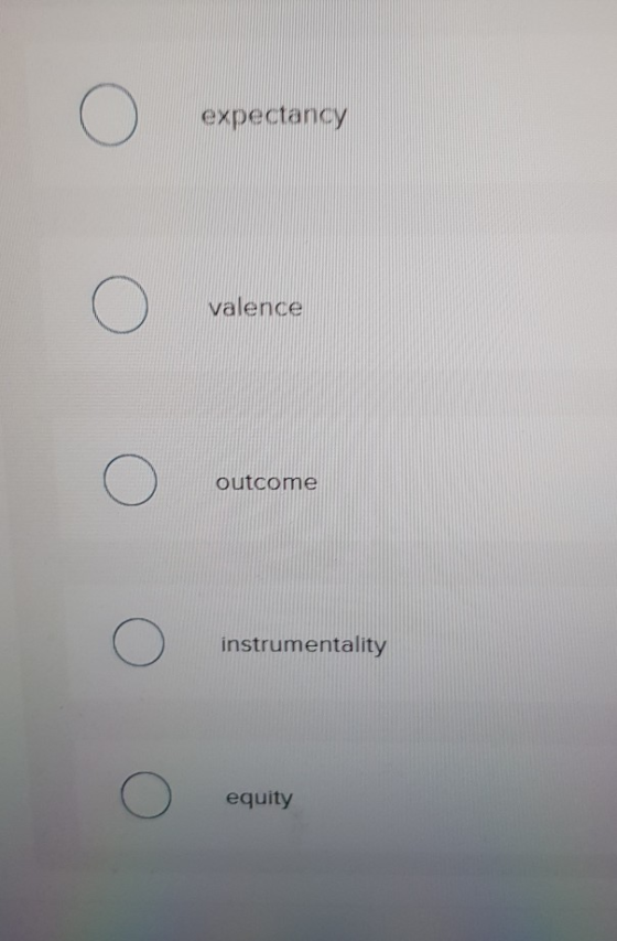 expectancy valence outcome instrumentality equity