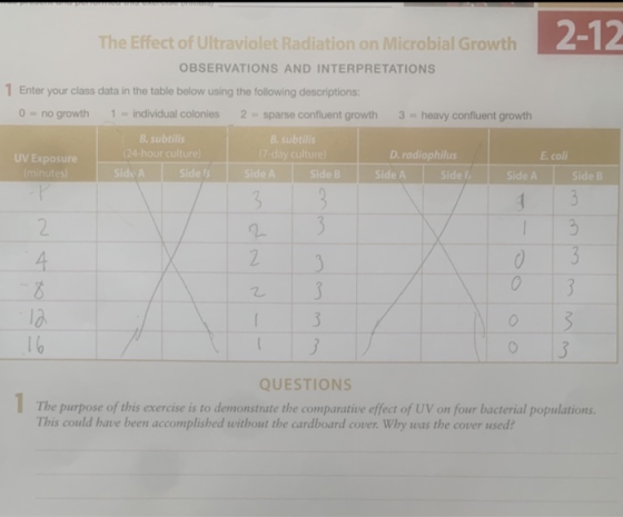 2-12 The Effect of Ultraviolet Radiation on Microbial Growth OBSERVATIONS AND INTERPRETATIONS 1 Enter your class data in the