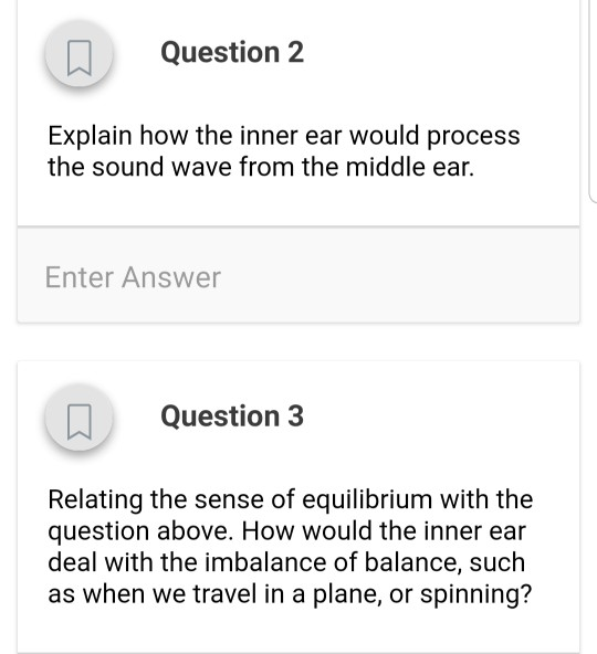 Question 2 Explain how the inner ear would process the sound wave from the middle ear. Enter Answer Question 3 Relating the s