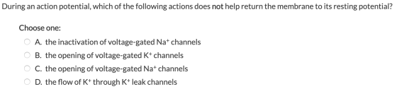During an action potential, which of the following actions does not help return the membrane to its resting potential? Choose