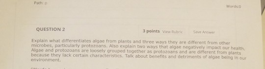 Path: p Words:0 QUESTION 2 3 points view Rubric Save Answer Explain what differentiates algae from plants and three ways they