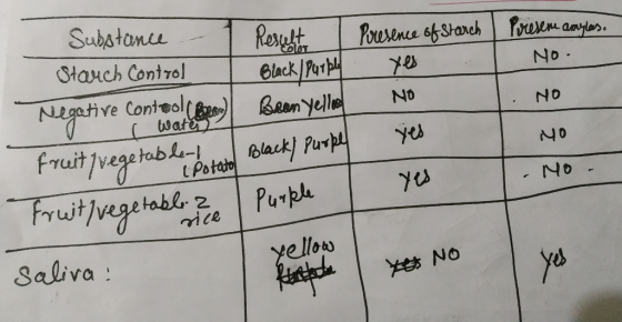 Substance - Result 1 Starch Control I Black/ Purple Negative conteo (82 Been Yelloel eubel Fruit/vegetable dotato Black/ purp