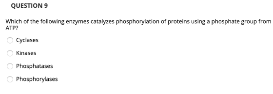 QUESTION 9 Which of the following enzymes catalyzes phosphorylation of proteins using a phosphate group from ATP? o Cyclases