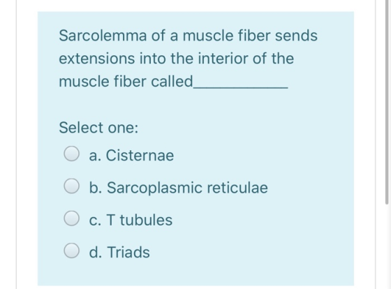 Sarcolemma of a muscle fiber sends extensions into the interior of the muscle fiber called Select one: O a. Cisternae O b. Sa
