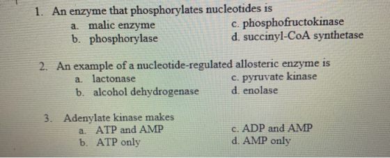 1. An enzyme that phosphorylates nucleotides is c. phosphofructokinase b. phosphorylase d. succinyl-CoA synthetase a. malic e